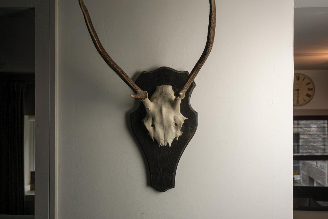 Appartement Cockburn Édimbourg